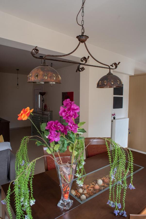 Holiday Lefkas Moonlight Luxury Appartments Νικιάνα Εξωτερικό φωτογραφία